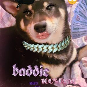 Meet your Posher, Ava